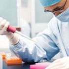 Фото: Анализ спермограммы и бесплодие